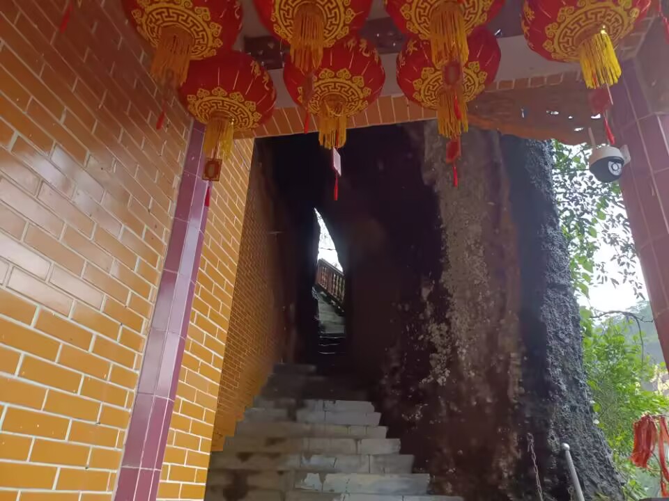 duqiao
